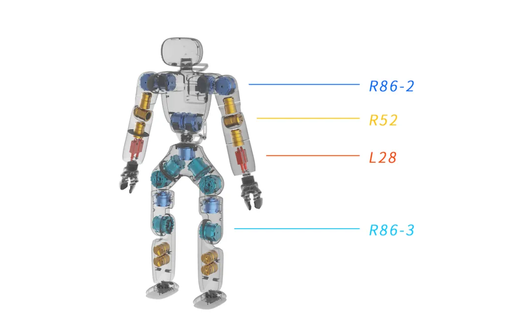 1729742667602926.jpg ky2.jpg